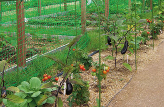 実践の森・農園 （2010年「環境大臣賞」、東京都緑の大賞「特別賞」、2013年「学術奨励賞」受賞）